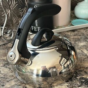 Stainless Steel Whistling Tea Kettle with Black Handle